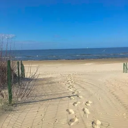 Lapis * Świnoujście