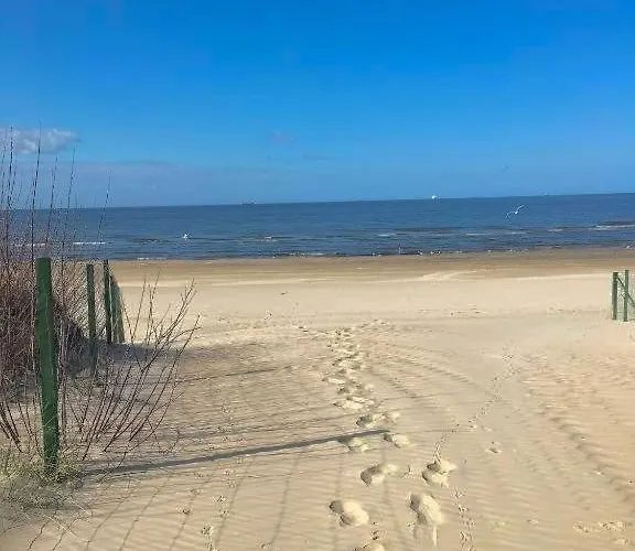 Lapis * سفينويتشي